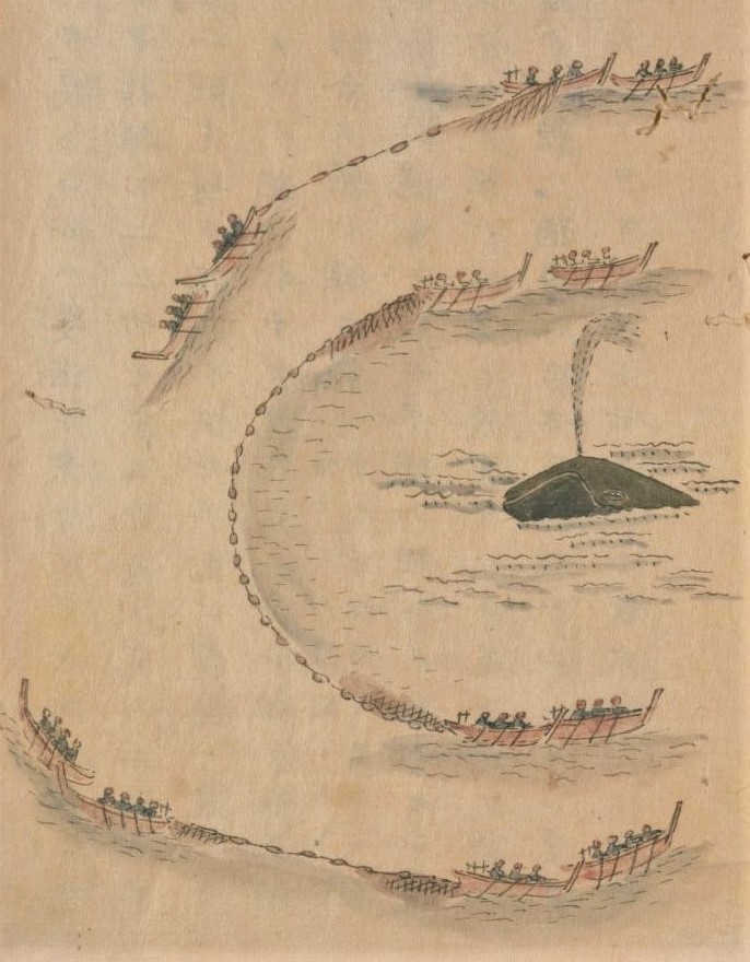 鯨網取（『鯨史稿　巻六』大槻準 編、国立国会図書館デジタルコレクション ）の画像。